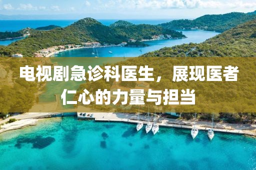 电视剧急诊科医生，展现医者仁心的力量与担当