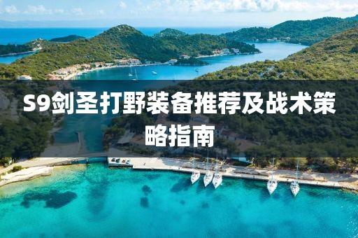 S9剑圣打野装备推荐及战术策略指南