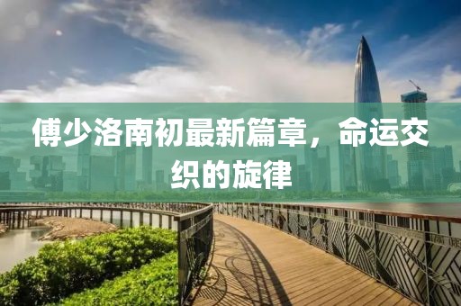 傅少洛南初最新篇章，命运交织的旋律