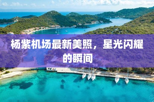 杨紫机场最新美照，星光闪耀的瞬间