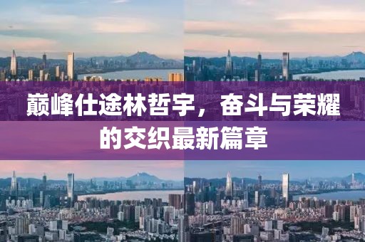 巅峰仕途林哲宇，奋斗与荣耀的交织最新篇章
