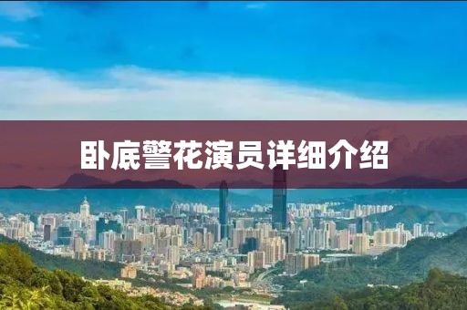 卧底警花演员详细介绍