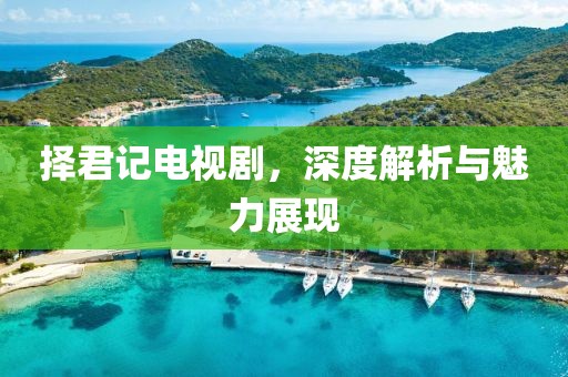 择君记电视剧，深度解析与魅力展现