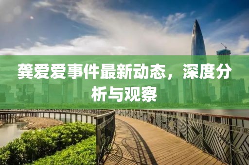 龚爱爱事件最新动态，深度分析与观察