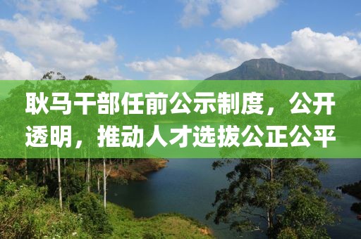 耿马干部任前公示制度，公开透明，推动人才选拔公正公平