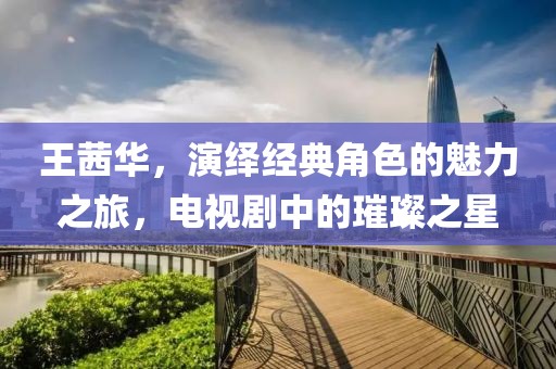 王茜华，演绎经典角色的魅力之旅，电视剧中的璀璨之星