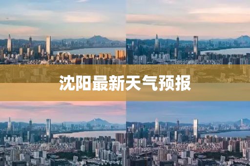 沈阳最新天气预报