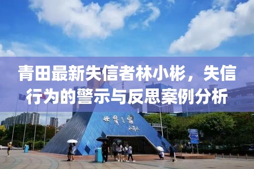 青田最新失信者林小彬，失信行为的警示与反思案例分析
