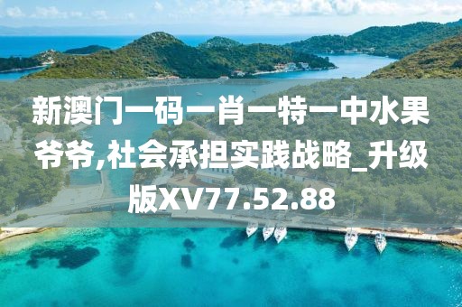 新澳门一码一肖一特一中水果爷爷,社会承担实践战略_升级版XV77.52.88