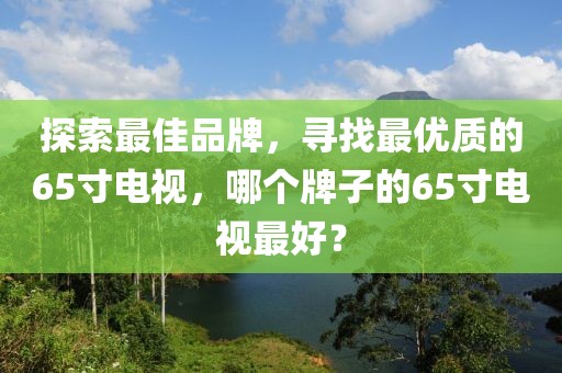 探索最佳品牌，寻找最优质的65寸电视，哪个牌子的65寸电视最好？