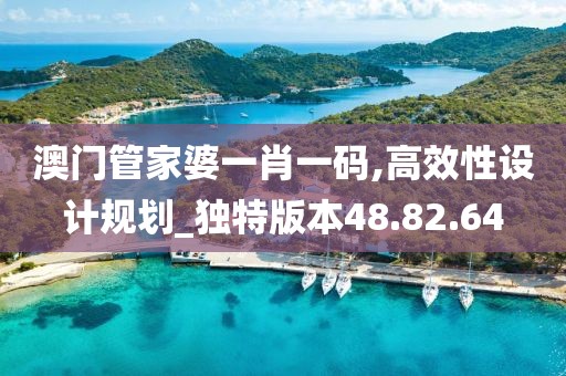 澳门管家婆一肖一码,高效性设计规划_独特版本48.82.64