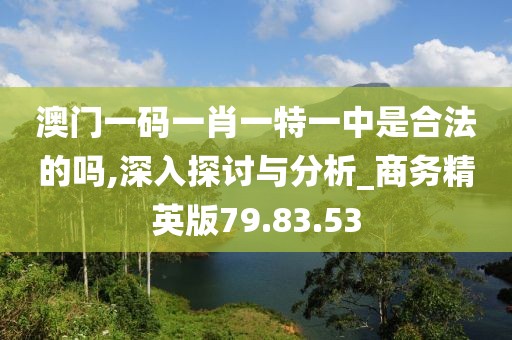 澳门一码一肖一特一中是合法的吗,深入探讨与分析_商务精英版79.83.53