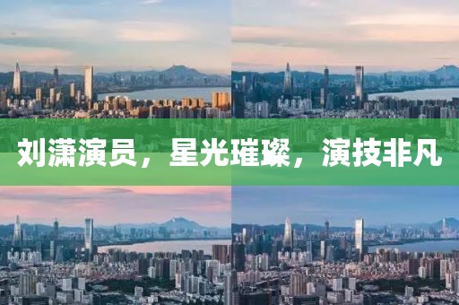 刘潇演员，星光璀璨，演技非凡