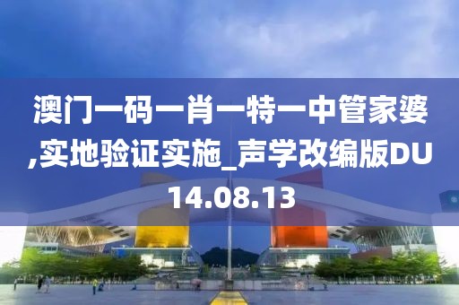 澳门一码一肖一特一中管家婆,实地验证实施_声学改编版DU14.08.13