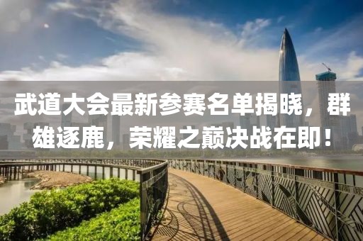 武道大会最新参赛名单揭晓，群雄逐鹿，荣耀之巅决战在即！