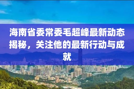 海南省委常委毛超峰最新动态揭秘，关注他的最新行动与成就