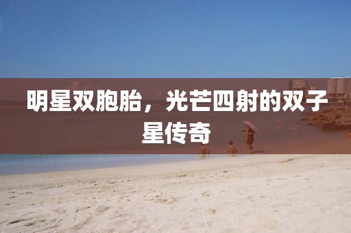 明星双胞胎，光芒四射的双子星传奇
