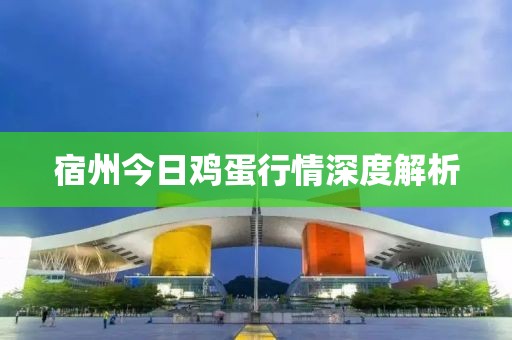 宿州今日鸡蛋行情深度解析