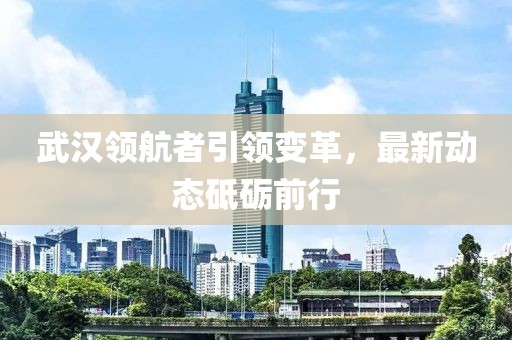 武汉领航者引领变革，最新动态砥砺前行