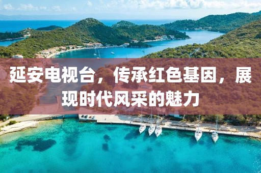 延安电视台，传承红色基因，展现时代风采的魅力