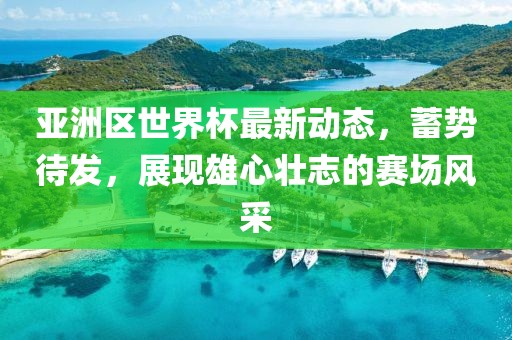 亚洲区世界杯最新动态，蓄势待发，展现雄心壮志的赛场风采