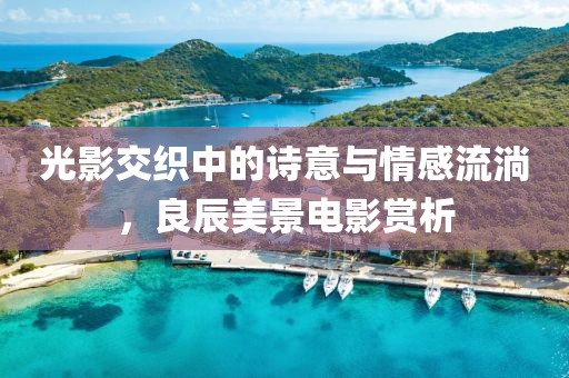 光影交织中的诗意与情感流淌，良辰美景电影赏析