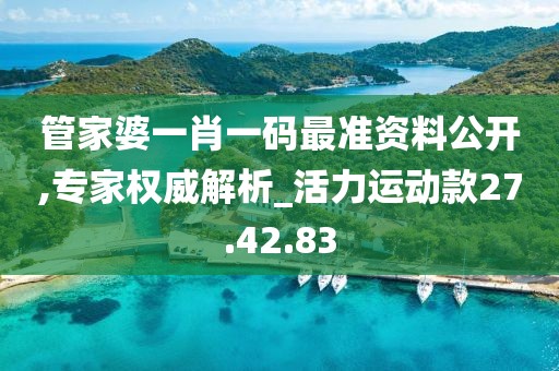 管家婆一肖一码最准资料公开,专家权威解析_活力运动款27.42.83