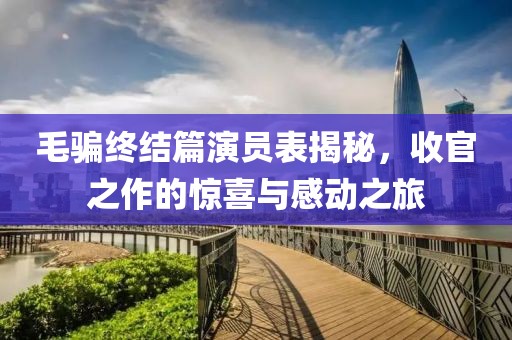 毛骗终结篇演员表揭秘，收官之作的惊喜与感动之旅