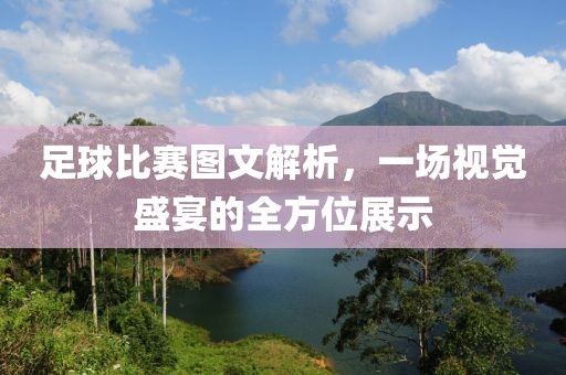 足球比赛图文解析，一场视觉盛宴的全方位展示