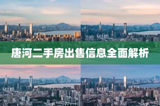 唐河二手房出售信息全面解析