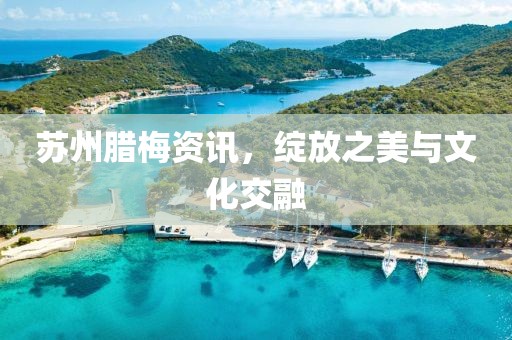 2025年4月 第310页