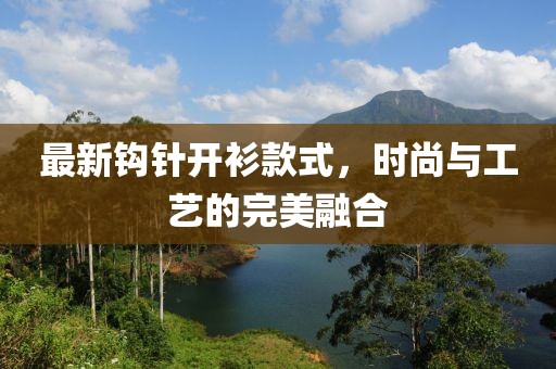 最新钩针开衫款式，时尚与工艺的完美融合
