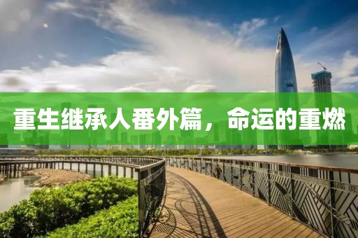 重生继承人番外篇，命运的重燃