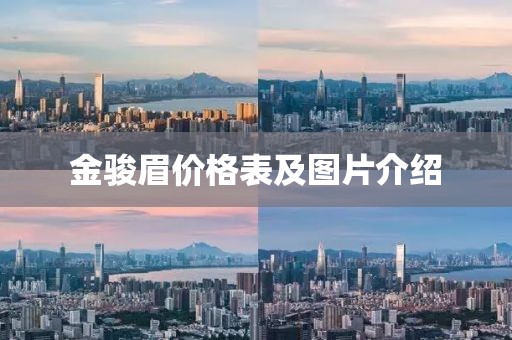 骑猪追帅哥 第4页