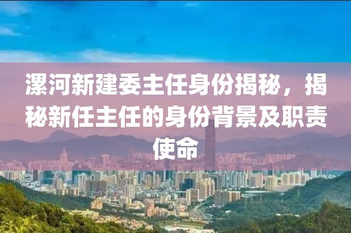 漯河新建委主任身份揭秘，揭秘新任主任的身份背景及职责使命