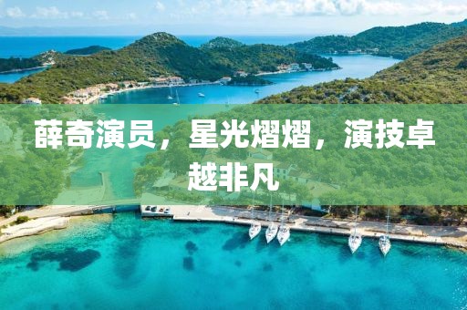薛奇演员，星光熠熠，演技卓越非凡