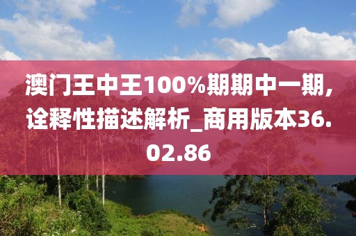 澳门王中王100%期期中一期,诠释性描述解析_商用版本36.02.86