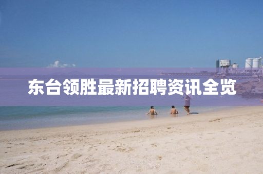 东台领胜最新招聘资讯全览