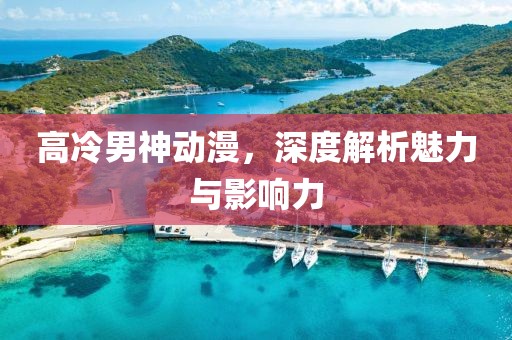 高冷男神动漫，深度解析魅力与影响力