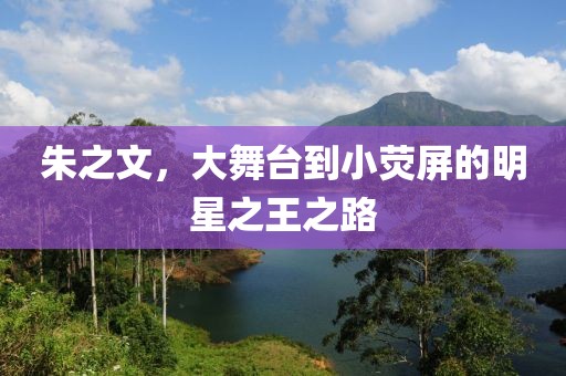 朱之文，大舞台到小荧屏的明星之王之路