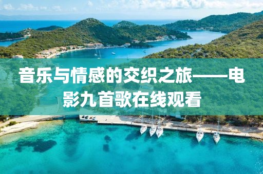 音乐与情感的交织之旅——电影九首歌在线观看