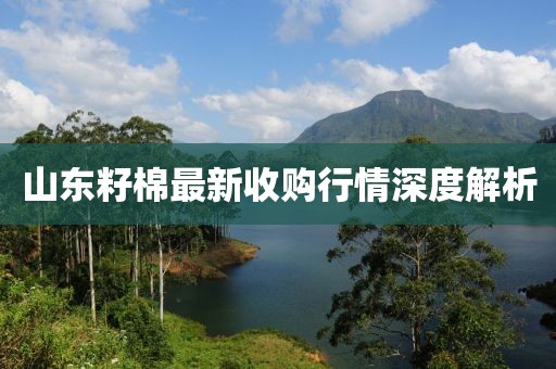 旺仔小拳头 第4页