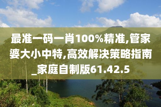 最准一码一肖100%精准,管家婆大小中特,高效解决策略指南_家庭自制版61.42.5