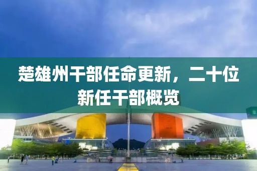 楚雄州干部任命更新，二十位新任干部概览