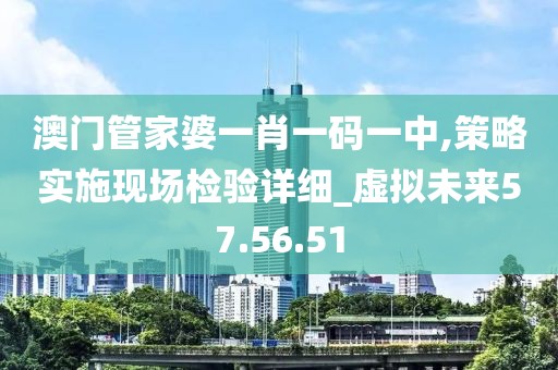 澳门管家婆一肖一码一中,策略实施现场检验详细_虚拟未来57.56.51