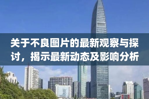 关于不良图片的最新观察与探讨，揭示最新动态及影响分析