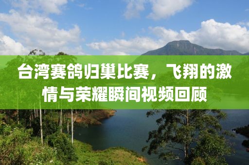 台湾赛鸽归巢比赛，飞翔的激情与荣耀瞬间视频回顾