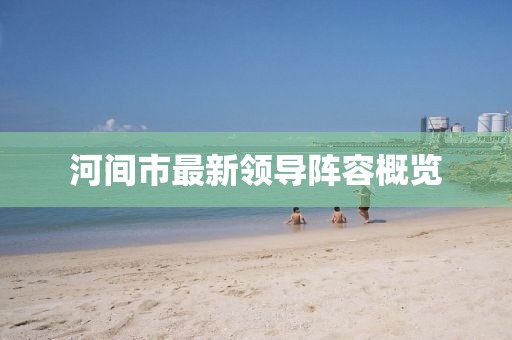 河间市最新领导阵容概览