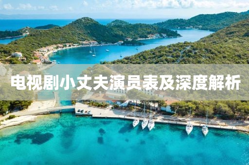 电视剧小丈夫演员表及深度解析