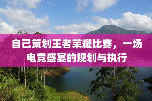 自己策划王者荣耀比赛，一场电竞盛宴的规划与执行
